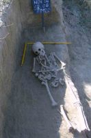 Cronica Cercetărilor Arheologice din România, Campania 2004. Raportul nr. 122