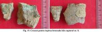 Cronica Cercetărilor Arheologice din România, Campania 2004. Raportul nr. 124