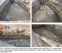 Cronica Cercetărilor Arheologice din România, Campania 2004. Raportul nr. 124