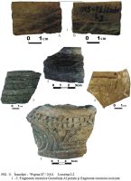 Cronica Cercetărilor Arheologice din România, Campania 2004. Raportul nr. 125