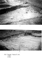 Cronica Cercetărilor Arheologice din România, Campania 2004. Raportul nr. 125