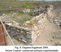 Cronica Cercetărilor Arheologice din România, Campania 2004. Raportul nr. 129