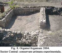 Cronica Cercetărilor Arheologice din România, Campania 2004. Raportul nr. 129