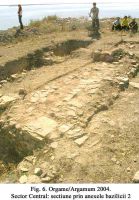Cronica Cercetărilor Arheologice din România, Campania 2004. Raportul nr. 129