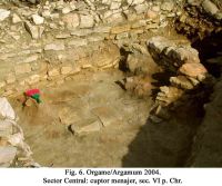 Cronica Cercetărilor Arheologice din România, Campania 2004. Raportul nr. 129