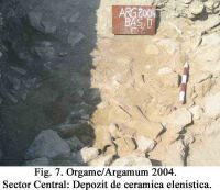 Cronica Cercetărilor Arheologice din România, Campania 2004. Raportul nr. 129