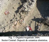 Cronica Cercetărilor Arheologice din România, Campania 2004. Raportul nr. 129