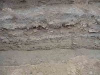 Cronica Cercetărilor Arheologice din România, Campania 2004. Raportul nr. 136