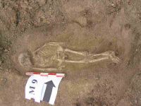 Cronica Cercetărilor Arheologice din România, Campania 2004. Raportul nr. 138