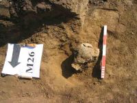 Cronica Cercetărilor Arheologice din România, Campania 2004. Raportul nr. 138