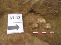 Cronica Cercetărilor Arheologice din România, Campania 2004. Raportul nr. 138