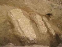 Cronica Cercetărilor Arheologice din România, Campania 2004. Raportul nr. 138