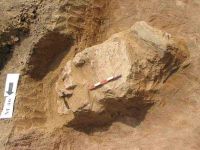 Cronica Cercetărilor Arheologice din România, Campania 2004. Raportul nr. 138