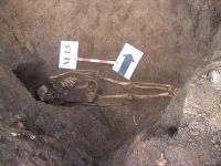 Cronica Cercetărilor Arheologice din România, Campania 2004. Raportul nr. 138