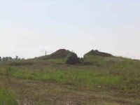 Cronica Cercetărilor Arheologice din România, Campania 2004. Raportul nr. 139