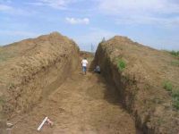 Cronica Cercetărilor Arheologice din România, Campania 2004. Raportul nr. 139