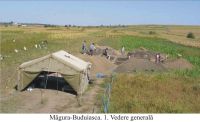 Cronica Cercetărilor Arheologice din România, Campania 2004. Raportul nr. 146