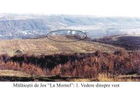 Cronica Cercetărilor Arheologice din România, Campania 2004. Raportul nr. 147