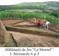 Cronica Cercetărilor Arheologice din România, Campania 2004. Raportul nr. 147