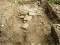 Cronica Cercetărilor Arheologice din România, Campania 2004. Raportul nr. 149