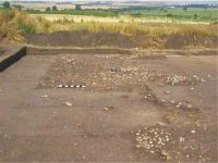 Cronica Cercetărilor Arheologice din România, Campania 2004. Raportul nr. 151