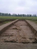Cronica Cercetărilor Arheologice din România, Campania 2004. Raportul nr. 160