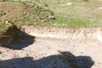 Cronica Cercetărilor Arheologice din România, Campania 2004. Raportul nr. 163