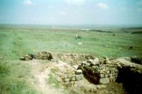 Cronica Cercetărilor Arheologice din România, Campania 2004. Raportul nr. 163