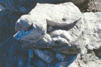 Cronica Cercetărilor Arheologice din România, Campania 2004. Raportul nr. 163