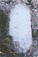 Cronica Cercetărilor Arheologice din România, Campania 2004. Raportul nr. 163