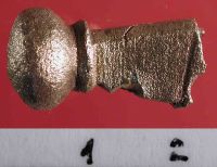 Cronica Cercetărilor Arheologice din România, Campania 2004. Raportul nr. 163