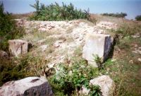 Cronica Cercetărilor Arheologice din România, Campania 2004. Raportul nr. 163