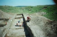 Cronica Cercetărilor Arheologice din România, Campania 2004. Raportul nr. 165