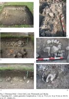 Cronica Cercetărilor Arheologice din România, Campania 2004. Raportul nr. 171