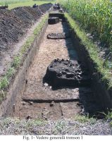 Cronica Cercetărilor Arheologice din România, Campania 2004. Raportul nr. 177