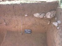 Cronica Cercetărilor Arheologice din România, Campania 2004. Raportul nr. 181