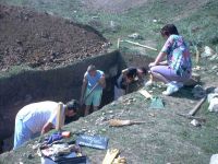 Cronica Cercetărilor Arheologice din România, Campania 2004. Raportul nr. 181