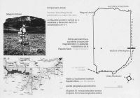Cronica Cercetărilor Arheologice din România, Campania 2004. Raportul nr. 181