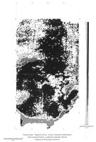 Cronica Cercetărilor Arheologice din România, Campania 2004. Raportul nr. 181