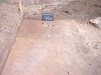 Cronica Cercetărilor Arheologice din România, Campania 2004. Raportul nr. 181