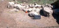Cronica Cercetărilor Arheologice din România, Campania 2004. Raportul nr. 181