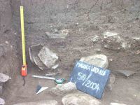 Cronica Cercetărilor Arheologice din România, Campania 2004. Raportul nr. 181
