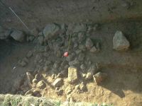 Cronica Cercetărilor Arheologice din România, Campania 2004. Raportul nr. 181