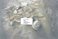 Cronica Cercetărilor Arheologice din România, Campania 2004. Raportul nr. 183