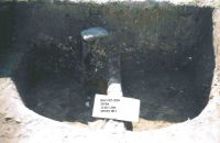 Cronica Cercetărilor Arheologice din România, Campania 2004. Raportul nr. 183