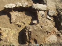 Cronica Cercetărilor Arheologice din România, Campania 2004. Raportul nr. 191