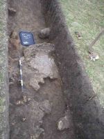 Cronica Cercetărilor Arheologice din România, Campania 2004. Raportul nr. 198