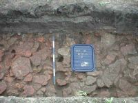 Cronica Cercetărilor Arheologice din România, Campania 2004. Raportul nr. 198