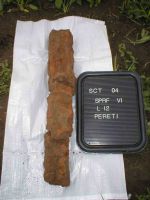 Cronica Cercetărilor Arheologice din România, Campania 2004. Raportul nr. 198