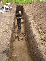 Cronica Cercetărilor Arheologice din România, Campania 2004. Raportul nr. 198
